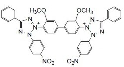 Dojindo Molecular Technologies Inc NITRO-TB (1G), CAS: 298-83-9, Dehydrogenase
