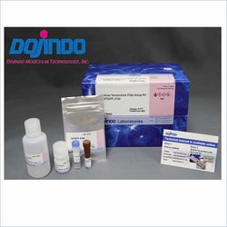 Dojindo Molecular Technologies Inc Cellular Senescence Plate Assay Kit
