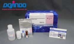 Dojindo Molecular Technologies Inc Cellular Senescence Plate Assay Kit