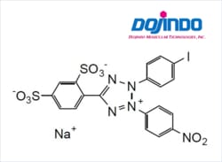 Dojindo Molecular Technologies Inc WST-1 (500MG), CAS:150849-52-8, has