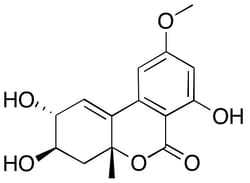 Lkt Laboratories Altenuene, ≥98%, 100UG, Quantity: Each of 1