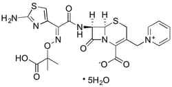 Lkt Laboratories Ceftazidime Hydrate, ≥97%, 1GR, Quantity: Each of 1