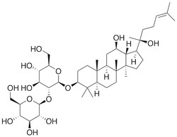 Lkt Laboratories 20S-Ginsenoside Rg3, ≥98%, 5MG, Quantity: Each of 1