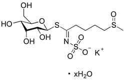 Lkt Laboratories Glucoraphanin Potassium, ≥98%, 5MG, Quantity: Each of