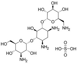 Lkt Laboratories Kanamycin A Monosulfate, ≥98%, 1GR, Quantity: Each of