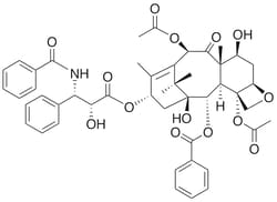 Lkt Laboratories Paclitaxel, from Taxus yunnanensis, ≥98%, 25MG, Quantity: