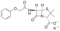 Lkt Laboratories Penicillin V Potassium, ≥98%, 10GR, Quantity: Each of