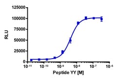 Eurofins Discoverx PathHunter CHO-K1 NPY2R β-Arrestin Cell Line, 2 vials. (93-0212C2)