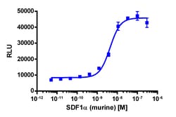 Eurofins Discoverx&nbsp;PathHunter eXpress mCXCR4 U2OS β-Arrestin GPCR Assay, 2-Plate Kit. (93-0481E3MCP5M)