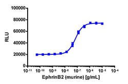 Eurofins Discoverx&nbsp;PathHunter eXpress EphB2 Functional Assay, 2-Plate Kit. (93-0848E3CP16M)