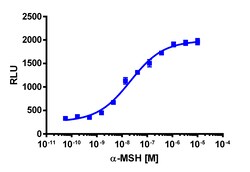 Eurofins Discoverx&nbsp;PathHunter eXpress MC3R U2OS β-Arrestin GPCR Assay, 2-Plate Kit. (93-0984E3CP5M)