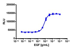 Eurofins Discoverx PathHunter eXpress EGFR/EGFR Dimerization Assay, 2-Plate