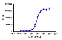 Eurofins Discoverx&nbsp;PathHunter U2OS IL27RA/IL6ST Dimerization Cell Line, 2 vials. (93-1119C3)