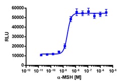 Eurofins Discoverx cAMP Hunter eXpress MC4R CHO-K1 GPCR Assay, 2-Plate