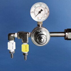 Euthanex Dual Preset Tank Regulator with Restrictors for both Mouse and Rat output.