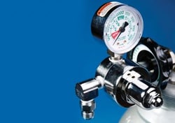 Euthanex Air Regulator preset for 50 PSI, Quantity: Each of 1