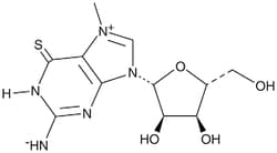 Berry 7-methyl-6-thioguanosine | 55727-10-1 | MFCD10686972 | 25 mg, Quantity: