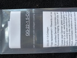 Neuvitro Collagen coated sterile German glass coverslips for cell culture, 22mm dia #1.5 thick 90/pk, ready to use in cell culture.
