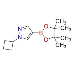 Boron Molecular 1-cyclobutyl-1H-pyrazole- 10GR, Quantity: Pack of 1