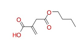 Boron Molecular Mono-butyl itaconate 500GR, Quantity: Pack of 1