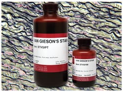 StatLab Van Gieson's Stain, 1 Pint, Quantity: Each of 1