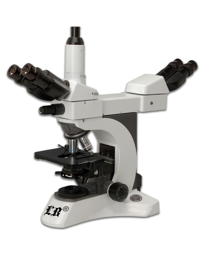 Labomed Inc [LB983] Trinocular MultiHead Microscope for 2 Simultaneous Fisher Scientific