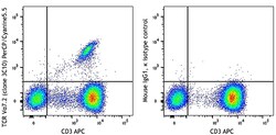 Biolegend PerCP/Cyanine5.5 anti-human TCR Vα7.2, Quantity: Each of 1