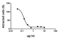 Biolegend Ultra-LEAF Purified anti-human CD183 (CXCR3), Quantity: Each
