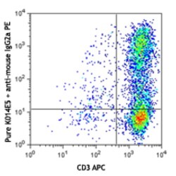 Biolegend Purified anti-human CD186 (CXCR6), Quantity: Each of 1