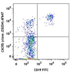 Biolegend Alexa Fluor 647 anti-human CD185 (CXCR5), Quantity: Each of 1