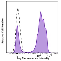Biolegend Brilliant Violet 711 anti-human CD192 (CCR2), Quantity: Each