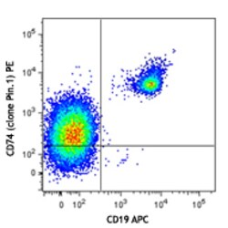 Biolegend PE anti-human CD74 (Cytoplasmic), Quantity: Each of 1