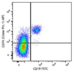 Biolegend APC anti-human CD74 (Cytoplasmic), Quantity: Each of 1