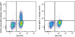 Biolegend Brilliant Violet 605 anti-human CD152 (CTLA-4), Quantity: Each