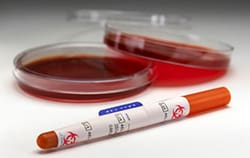 Micro Biologics Inc 3P&nbsp;STAFF EPIDERMUS QUICK STIX