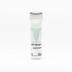 IBA LifeSciences GFP-Strep-tag control protein Strep-tagII; 500 µg, Quantity: