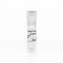 IBA LifeSciences Strep-Tactin; 1 mg, Quantity: Each of 1