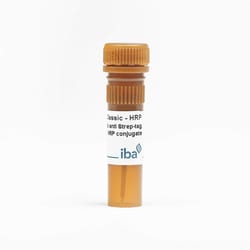 IBA LifeSciences StrepMAB-Classic monoclonal antibody with HRP conjugate;