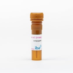 IBA LifeSciences&nbsp;Strep-TactinXT conjugate DY-488; 50 µg