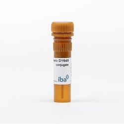 IBA LifeSciences&nbsp;StrepMAB-Classic conjugate DY-649; 50 µg