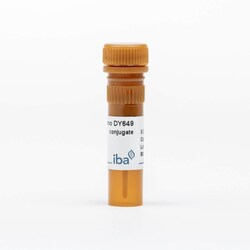 IBA LifeSciences&nbsp;StrepMAB-Immo conjugate DY-649; 50 µg