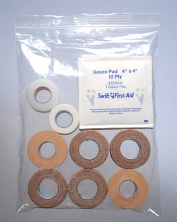 Elkay Plastics Company Bag Reclosable Clear with Zip Closure 4 mil 8 X 10 1,000 per Case