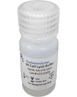 Raybiotech Inc Lysis Buffer, 16 mL, 2X