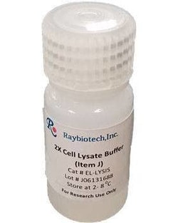 Raybiotech Inc&nbsp;Lysis Buffer, 5 mL, 2X