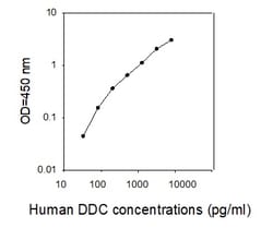 Raybiotech Inc Human Dopa Decarboxylase ELISA Kit, Quantity: Each of 1