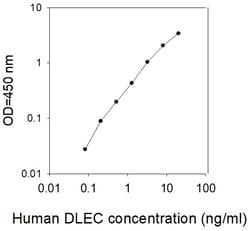 Raybiotech Inc Human DLEC/CLEC4C/BDCA-2 ELISA Kit, Quantity: Each of 1