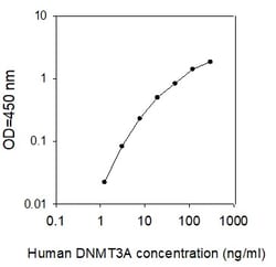 Raybiotech Inc Human DNMT3A ELISA Kit, Quantity: Each of 1