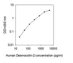 Raybiotech Inc Human Desmocollin-2 ELISA Kit, Quantity: Each of 1