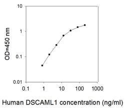 Raybiotech Inc Human DSCAM-L1/DSCAM2 ELISA Kit, Quantity: Each of 1