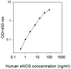 Raybiotech Inc Human eNOS/NOS3 ELISA Kit, Quantity: Each of 1